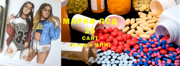 PSILOCYBIN Бородино