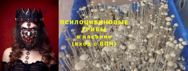 PSILOCYBIN Бородино