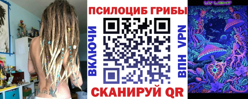 купить  сайты  Дятьково  МЕГА зеркало  Галлюциногенные грибы Cubensis 